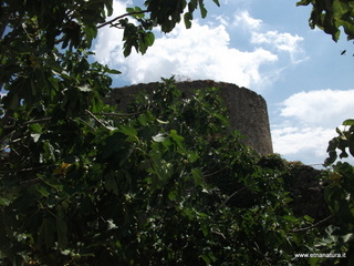 nnizzu-28-08-2022 12-37-08
